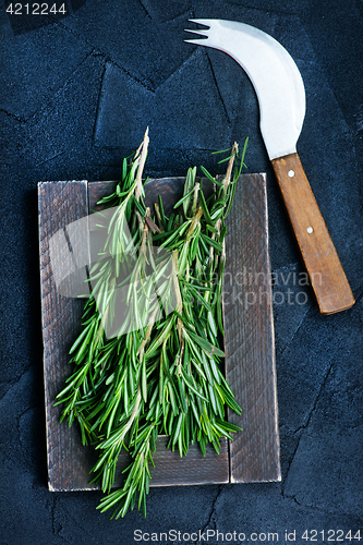 Image of rosemary