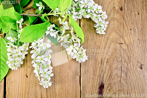 Image of Bird cherry blossoming on background of boards