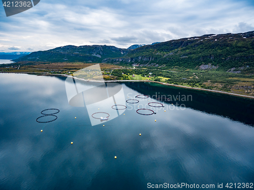 Image of Farm salmon fishing