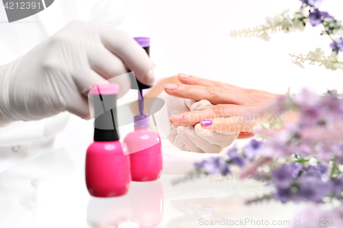 Image of Hybrid manicure, beauty salon Styling nail color nail polish Beautician painting nails