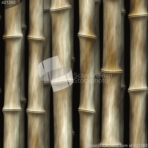 Image of bamboo background