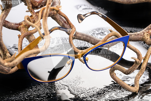 Image of Glasses And Branches