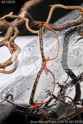 Image of Glasses And Branches