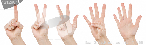 Image of Hand gestures counting from 1 to 5