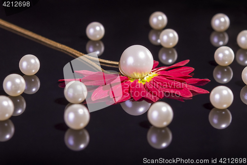 Image of White pearls necklace on black background