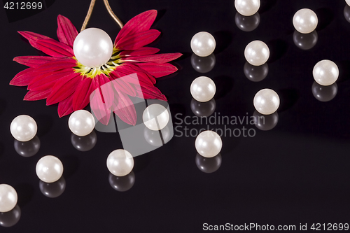 Image of White pearls necklace on black background