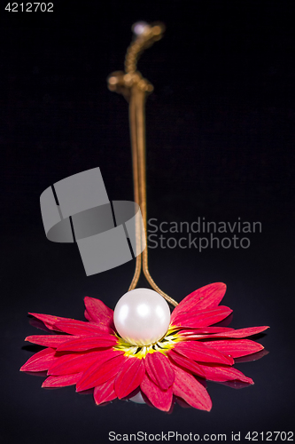 Image of White pearls necklace over red petals on black