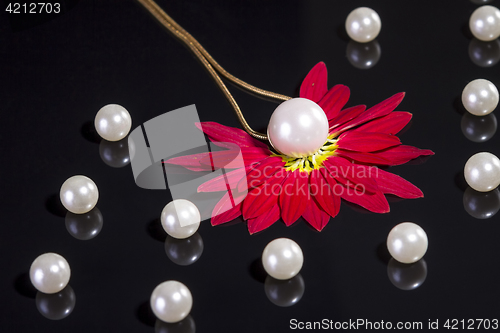 Image of White pearls necklace on black background