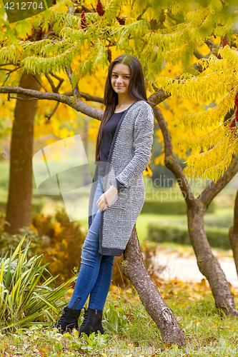 Image of portrait of pretty teen girl in autumn park