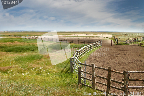 Image of Fence in a Danish landscapes in the summer