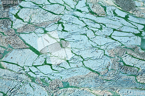 Image of Blue-green algae on a lake in denmark