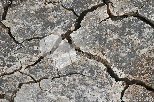 Image of Cracked earth in a Danish landscapes in the summer