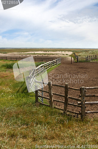 Image of Fence in a Danish landscapes in the summer