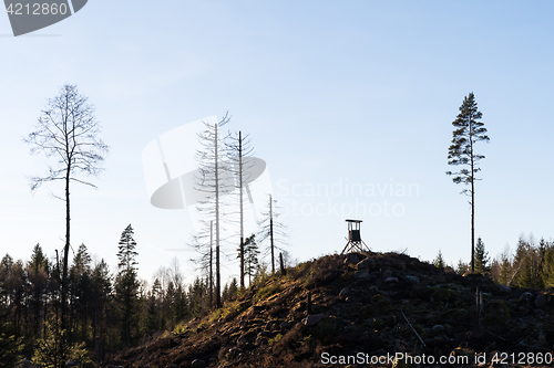 Image of Hunting tower in the woods