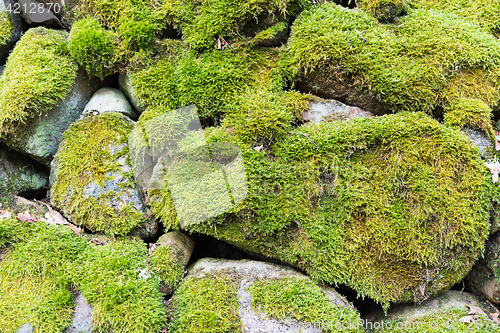 Image of Mossy stone wall detail