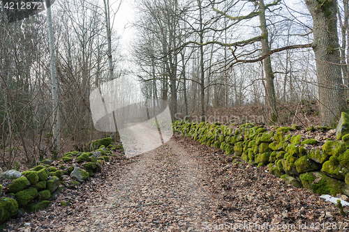 Image of Mossy stone walls along a country road