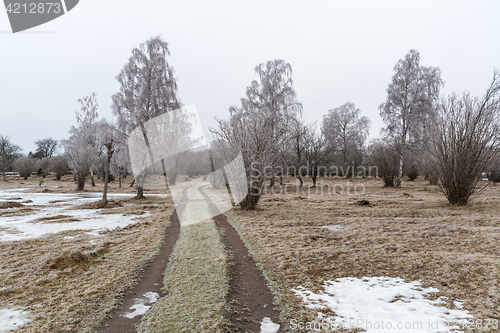 Image of Country road into a frosty landscape