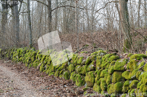 Image of Moss-grown stone wall