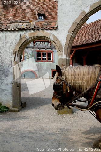 Image of Group of tourist at the ecomusee in Alsace on a horse carriage