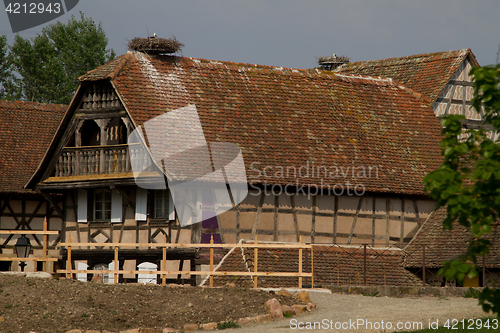 Image of Stork on a roof at the ecomusee in Alsace