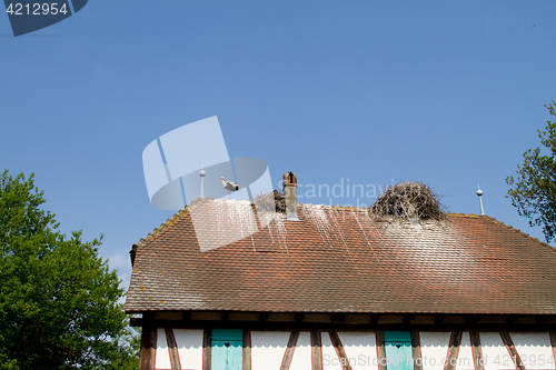 Image of Stork on a roof at the ecomusee in Alsace