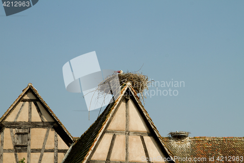 Image of Stork on a roof at the ecomusee in Alsace