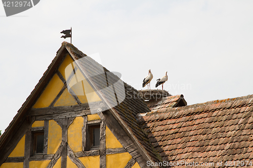 Image of Stork on a roof at the ecomusee in Alsace