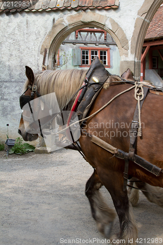 Image of Group of tourist at the ecomusee in Alsace on a horse carriage