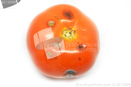 Image of Rotten tomato isolated