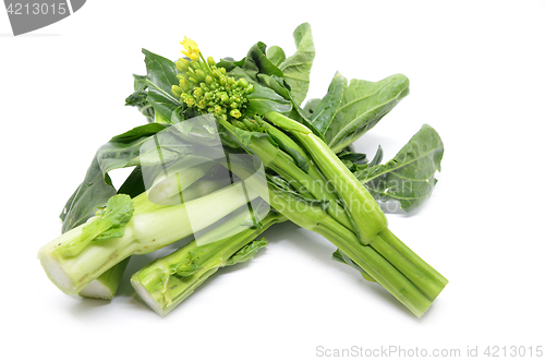 Image of Bunch of floral choy sum