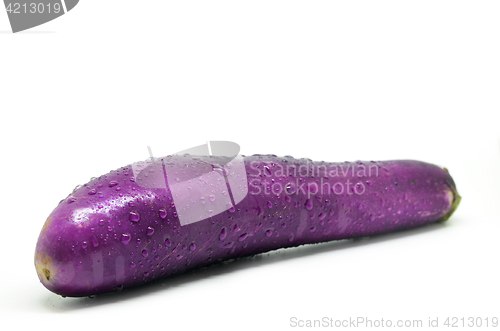 Image of Purple eggplant with water drop