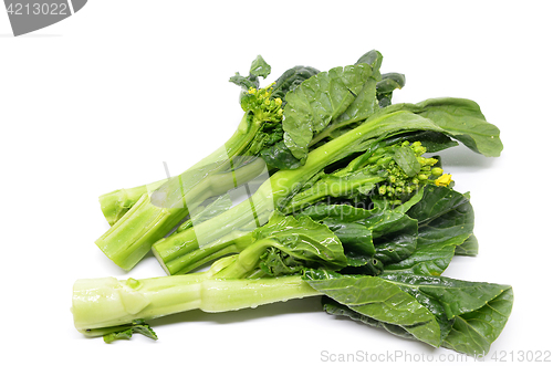 Image of Bunch of floral choy sum