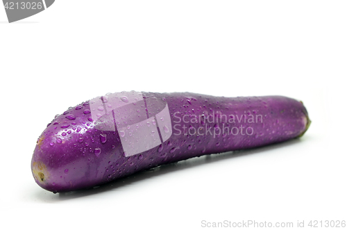 Image of Purple eggplant with water drop