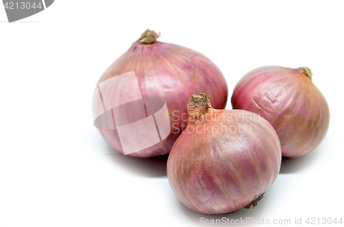 Image of Purple onion isolated on a white background