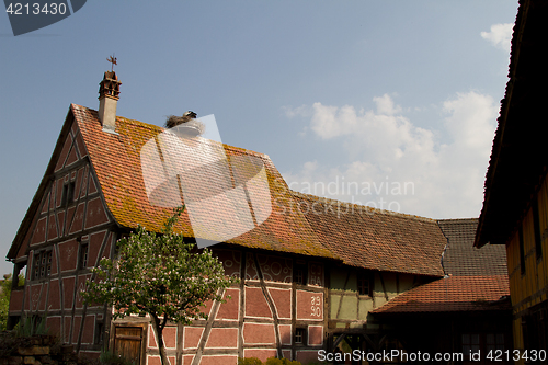 Image of Stork on a roof at the ecomusee in Alsace