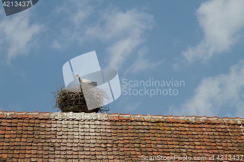 Image of Stork on a roof at the ecomusee in Alsace
