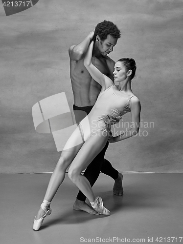 Image of Couple of ballet dancers posing over gray background