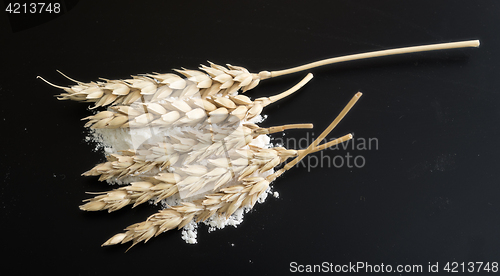 Image of wheat ears