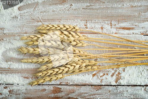 Image of flour and wheat