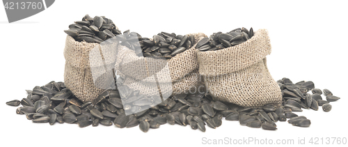 Image of  sunflower seeds