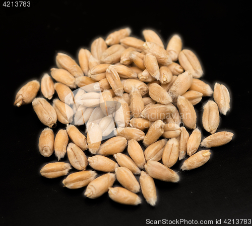 Image of wheat grain