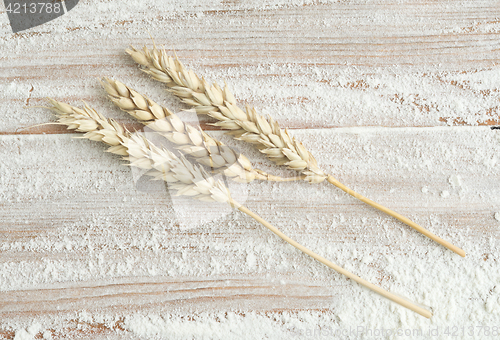 Image of flour and wheat