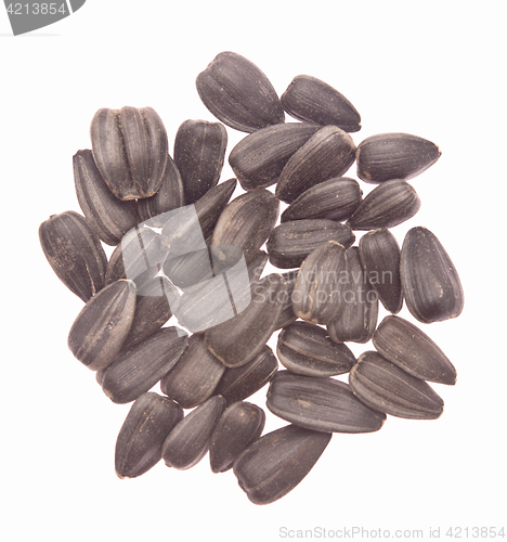 Image of sunflower seeds