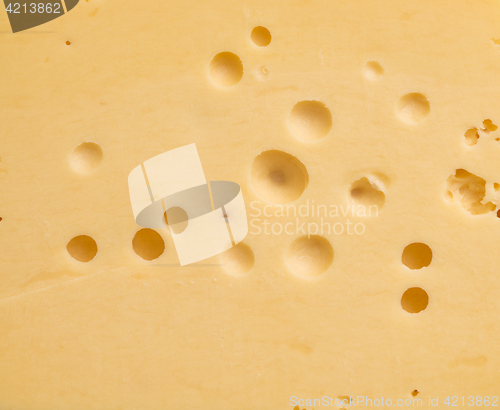 Image of cheese background