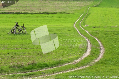 Image of Green field.