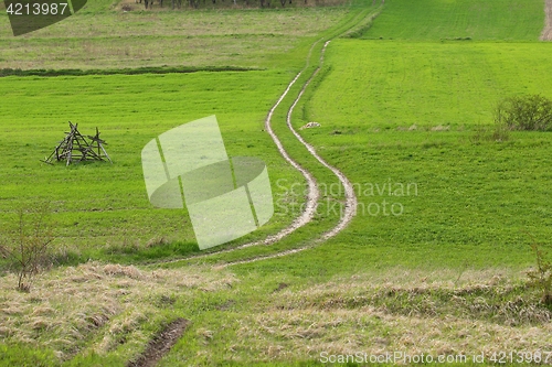 Image of Green field.