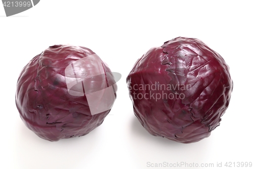 Image of Red cabbage.