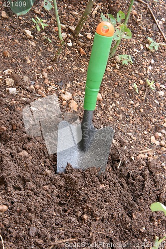 Image of digging the garden
