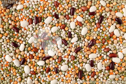 Image of Beans and lentils.