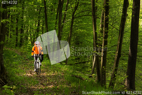 Image of Biker in orange jersey on the forest road